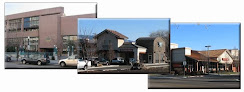 Roofing contractor Madison Roofing Inc. in Boise in Idaho