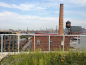 Roofing contractor New York Green Roofs in Brooklyn in NY